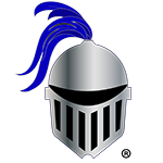 Noble Telecom Solutions Logo Helmet